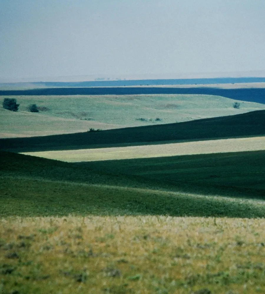 Rolling green fields under a wide, open sky